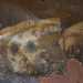 Sulla destra, in un quadro, ecco unimmagine della Madonna Bambina